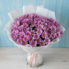 Букет цветов из:  Хризантемы в Вад