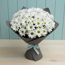 Букет цветов из:  Хризантемы #REPLACE_PRED# Вад