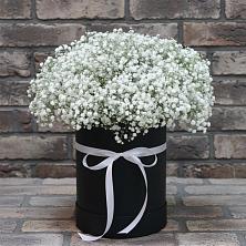 Цветочная композиция из Гипсофила в шляпной коробке в Вад
