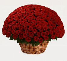 Премиум букет из: Розы в Вад
