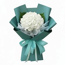 Букет цветов из:  Гортензия в Вад